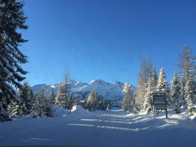 Winter_03.JPG