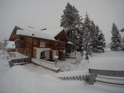 Winter_16_2.jpg